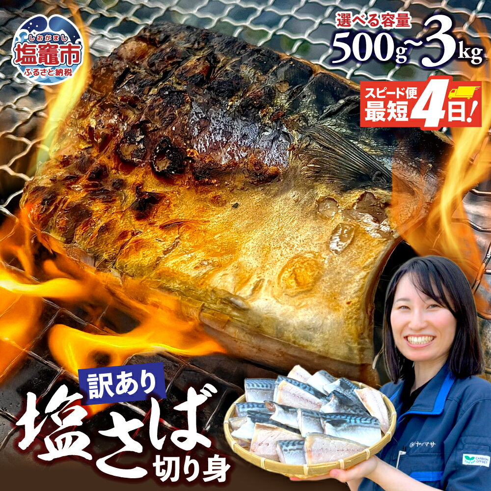 【ふるさと納税】訳あり 無添加 トロ 塩さば 切り身 500g～3kg 傷 キズ 鯖 さば 冷凍 食品 小分け 大容量 人気 魚 魚介 魚貝 海鮮 弁当 惣菜 お取り寄せ グルメ 送料無料 不揃い 規格外 ふるさと納税鯖 SDGs応援品 食品添加物不使用 塩竈市 塩釜 ヤママサ