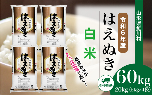 ＜令和6年産米＞ 令和7年3月下旬より配送開始 はえぬき【白米】60kg定期便(20kg×3回)　鮭川村