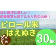 【令和6年産・玄米】九代目又七のピロール農法米はえぬき30kg PS4-023