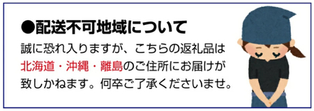 天然本くえ ちり鍋セット4人前【期間限定・1/31まで】【お野菜・自家製ぽん酢付き】 ※北海道・沖縄・離島は発送不可 / 高級 くえ鍋 クエ鍋 野菜 本クエ ポン酢 ぽんず 田辺市 和歌山県【gtr0