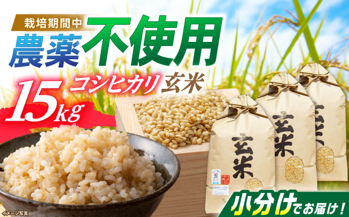 
            【新米：令和6年産】栽培期間中 農薬不使用 滋賀県産 特別栽培米 コシヒカリ玄米5Kg×3袋 令和6年産 滋賀県長浜市/有限会社もりかわ農場 [AQBL006] 米 お米 玄米 新米 15kg  米 お米 ご飯 ごはん ゴハン
          