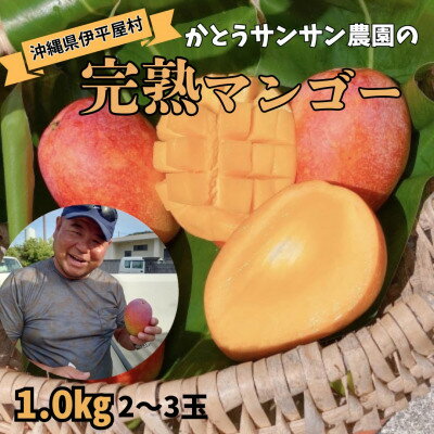 【ふるさと納税】【2025年7月頃発送】離島の恵み　完熟マンゴー1.0kg【配送不可地域：離島】【1574747】