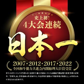 【定期便】宮崎牛３ヶ月定期便Ｂ‐１【 4大会連続日本一 国産 九州産 肉 牛 宮崎県産 牛肉 黒毛和牛 ミヤチク 全3回 】