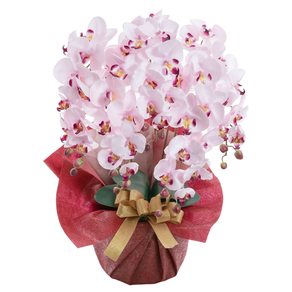 【ふるさと納税】枯れないアーティフィシャルフラワー胡蝶蘭　5本立ち／ラベンダー