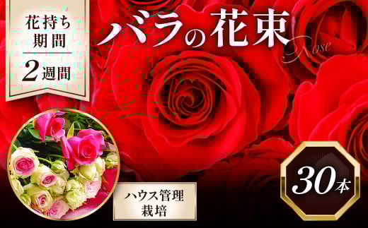花持ち最高！！バラの花束【薔薇 30本 花束 ばら 花 はな バラ 贈り物 プレゼント 季節限定 期間限定 先行予約 早期予約】