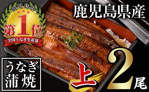 無投薬！鹿児島県産うなぎ蒲焼セット＜上＞(計280g以上・ 140g以上×2尾) タレ・山椒付き  鰻 うなぎ 蒲焼 【西日本養鰻】A60-v01
