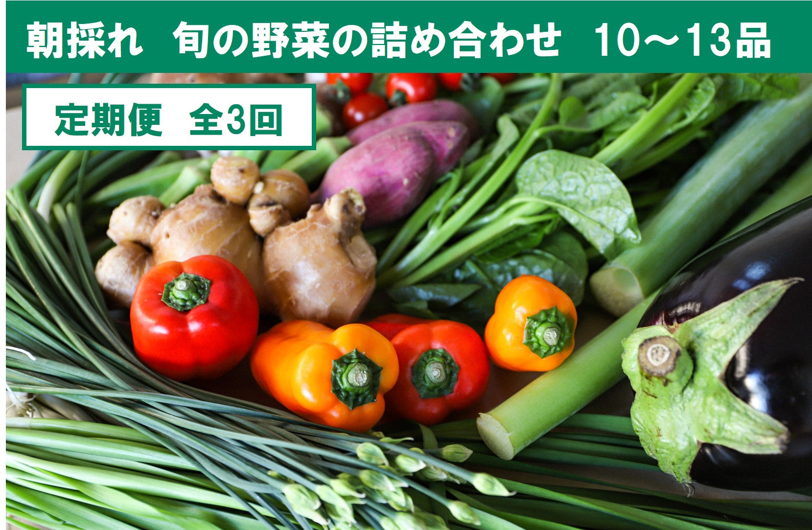 
『定期便』全3回【土佐野菜】旬の野菜詰め合わせ10～13品目
