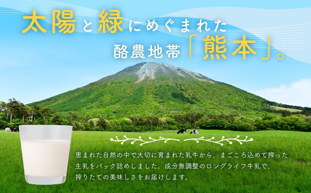 大阿蘇牛乳 200ml×24個入（1箱）