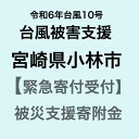 【ふるさと納税】【令和6年台風10号被害支援緊急寄附受付】宮崎県小林市災害応援寄附金（返礼品はありません）