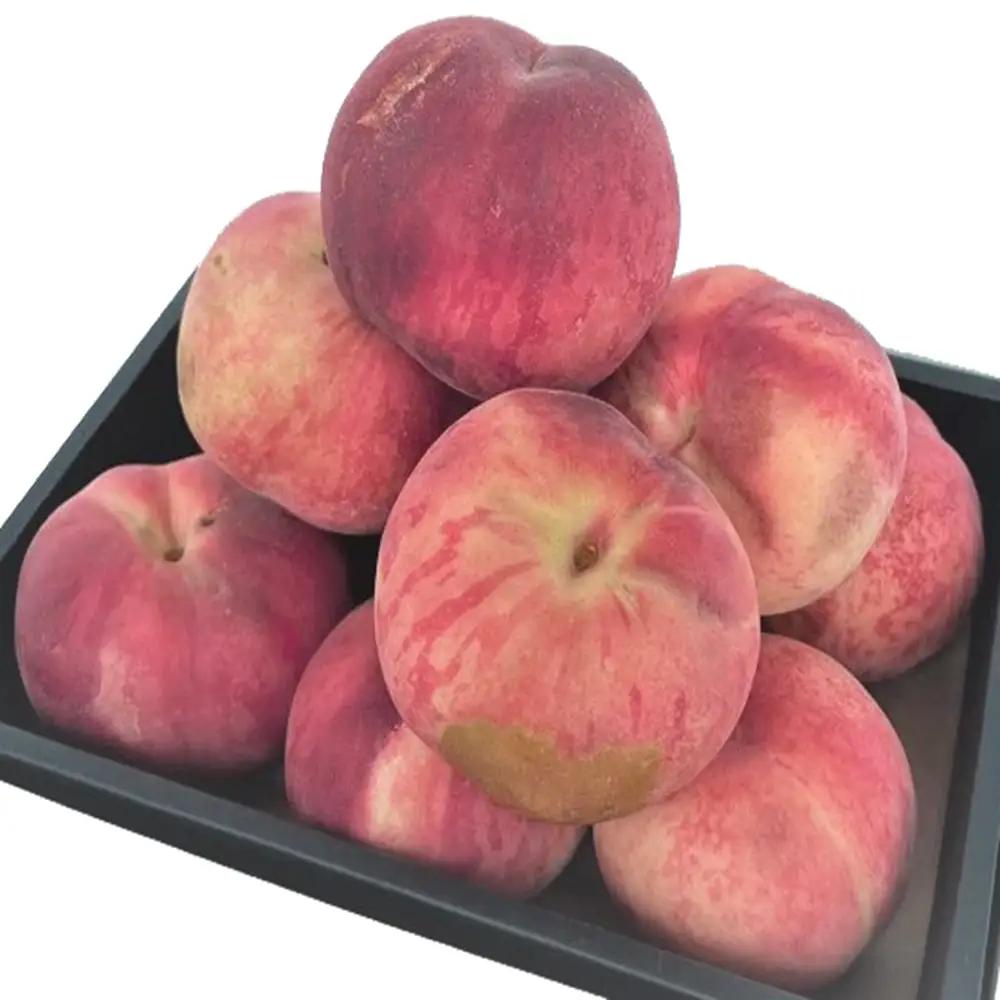 【訳あり】【2026年産・先行予約】青森県産 桃 約3kg（7~10玉） 