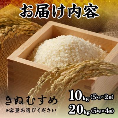 ふるさと納税 境港市 令和7年産米鳥取県産きぬむすめ(10kg) |  | 01