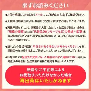 《先行受付》枝豆（雪音）約1kg【2026年8月末より順次発送予定】 022-004