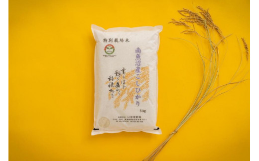 
            【令和7年産】 南魚沼産コシヒカリ「特別栽培米（アファス認証）」精米5kg【新潟県 特A地区】
          