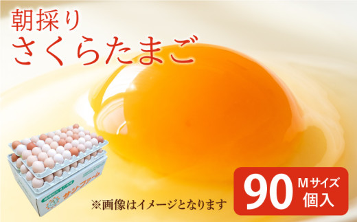 卵 朝採り さくらたまご 90個（Mサイズ） 10個破損補償含む