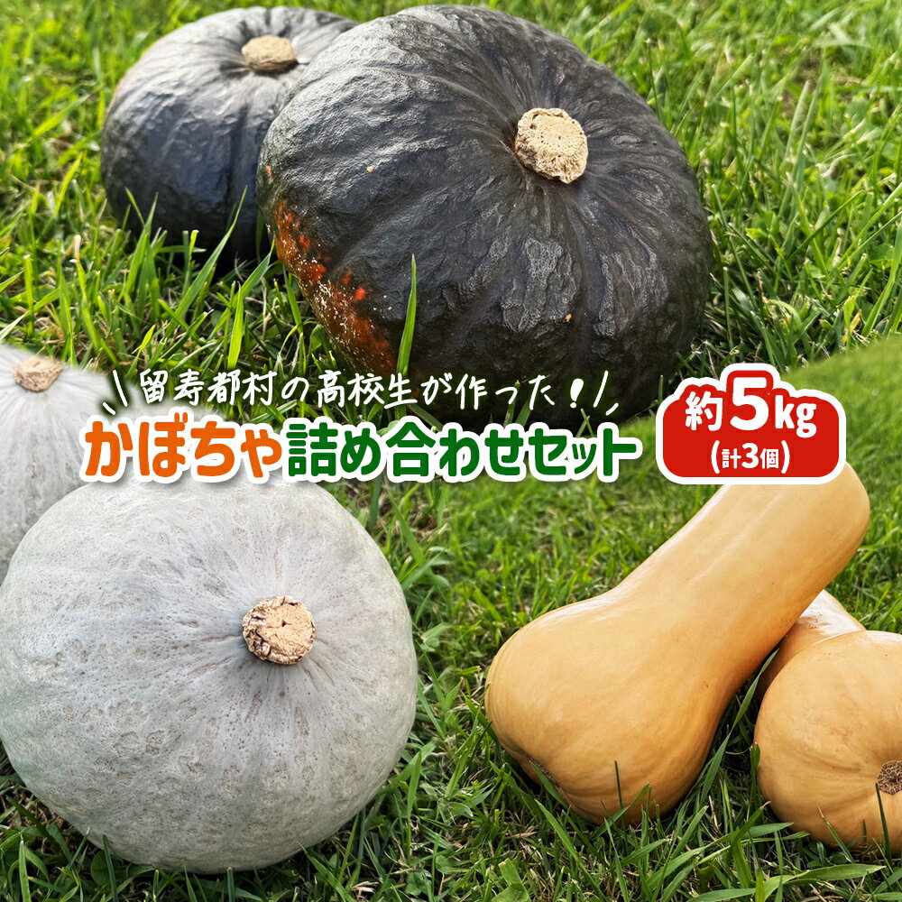 【ふるさと納税】留寿都村の高校生が作った！かぼちゃ詰め合わせセット【23004】