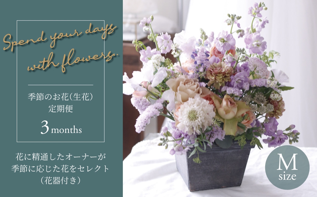 
            【毎月お届け】季節のお花（生花・花器付き）の定期便・Mサイズ　3か月 〈 フラワーアレンジメント 花 定期便  記念日 誕生日 お祝い ギフト プレゼント インテリア 自宅用 全国発送 送料無料 冷蔵 そのまま飾れる かわいい ※お届け日指定不可  〉
          