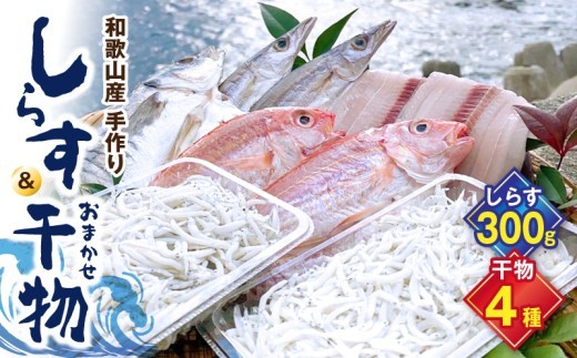 
                  しらす ・ 干物 おまかせ詰め合わせ セット A【しらす干し ちりめんじゃこ シラス 魚 干物セット 詰め合わせ】_DL6001n
                