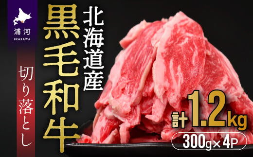 
北海道産 黒毛和牛切り落とし(300g×4P)計1.2kg[11-1151]
