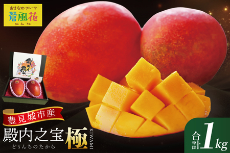 【2026年7月より順次発送】豊見城産マンゴー『殿内之宝(どぅんちのたから)・極』約1kg｜マンゴー フルーツ 果物 くだもの 先行予約 完熟マンゴー 沖縄フルーツ おきなわ 沖縄 沖縄県 豊見城市(DR001)