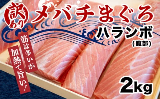 
            【訳あり】 メバチマグロ 腹身 部分 訳あり まぐろ 鮪 刺身 刺し身 切身 おかず 惣菜 手軽 便利 魚 魚介類 海鮮 新鮮 国産マグロ 国産 マグロ丼 海鮮丼 鉄火丼 ふるさと納税 人気 ふるさと納税まぐろ ふるさと納税鮪 TY014
          