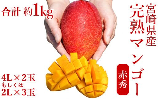 宮崎県産完熟マンゴー[赤秀] 合計約1kg（2～3玉）