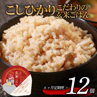 ふるさと納税 松原市 【毎月定期便】こだわり玄米ごはん 120g×12個 電子レンジで温めるだけのパックご飯全6回