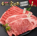 【ふるさと納税】宮崎牛 ロース ステーキ スライス セット 合計1kg 牛肉 ビーフ 黒毛和牛 国産 すき焼き しゃぶしゃぶ ブランド牛 おかず 食品 おすすめ 内閣総理大臣賞 最高級 贅沢 ご褒美 お祝い 記念日 お取り寄せ グルメ 詰め合わせ 真空パック 宮崎県 日南市 送料無料