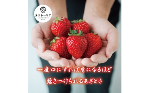 ＜12月25日から順次出荷＞あざといちご　3Lサイズ　12粒入り　ロックファーム京都【1786952】