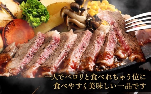 福岡牛サーロインステーキ 約540g（約180g×3枚）
