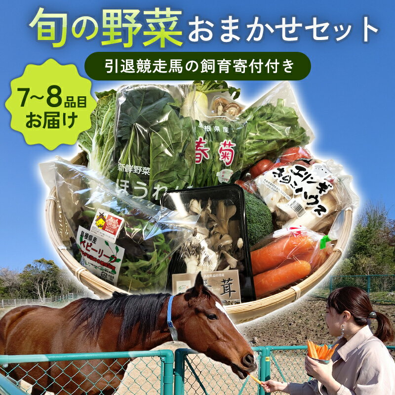 【ふるさと納税】 旬の野菜おまかせセット 7品目〜10品目 引退競馬の飼育寄付付き 野菜 旬 季節の野菜 新鮮 おまかせ お楽しみ 飼育寄付 飼育費 野菜 規格外品 引退競走馬 詰め合わせ セット 特産品 お取り寄せ