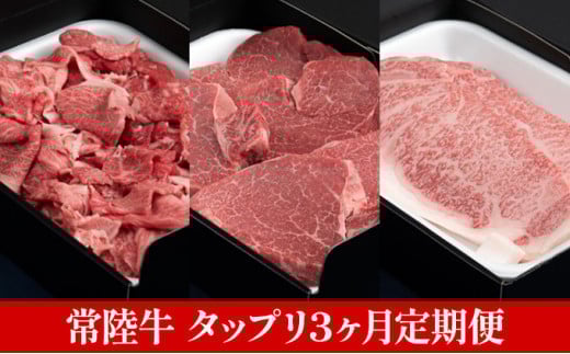 
            【定期便】常陸牛 たっぷりセット 3ヶ月連続  定期便 お肉 牛肉 ステーキ サーロイン ※沖縄県・離島への配送不可
          