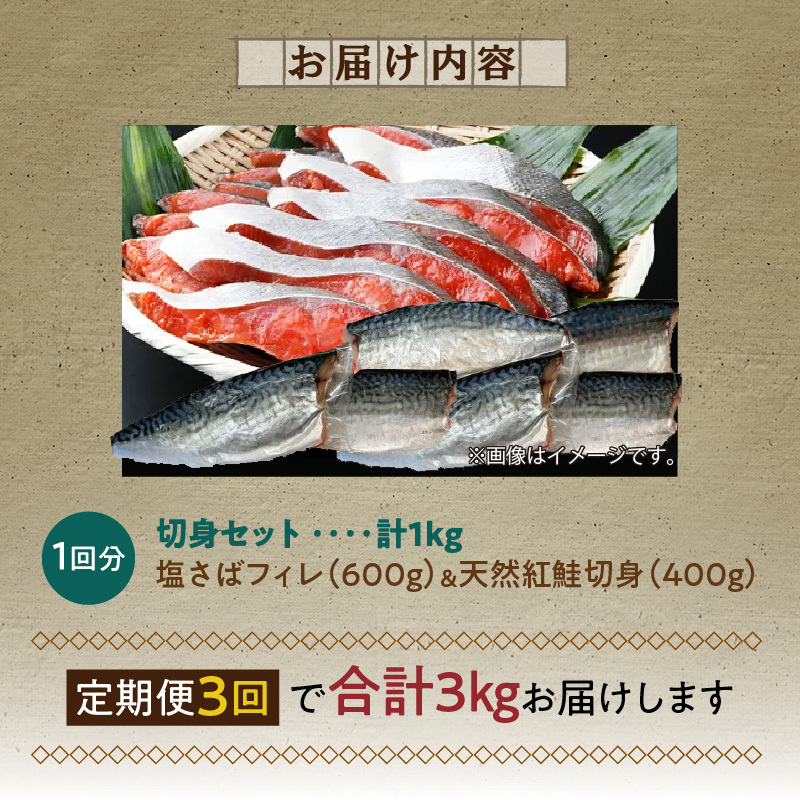 G60-T53_【定期便　全3回】人気の2種塩さば＆紅鮭切り身セット計3kg (1kg × 3回)_イメージ5