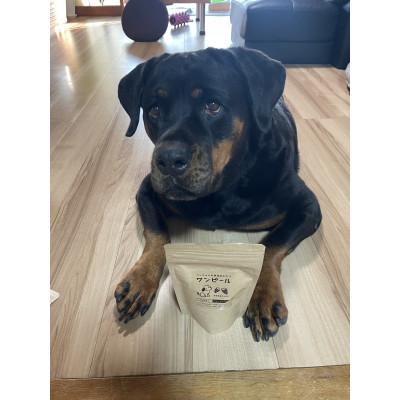 ふるさと納税 茨城県 茨城県産ほしいもの未利用部分を使用したワンちゃんのための無添加おやつ(フレークタイプ30g×8袋) |  | 03