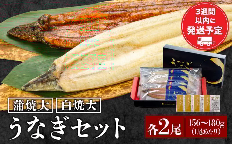 
            白焼大2尾・蒲焼大2尾セット 冬うなぎ_M069-018
          