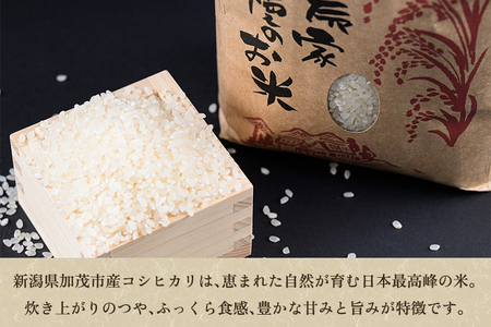 新潟県加茂市産コシヒカリ 精米 10kg