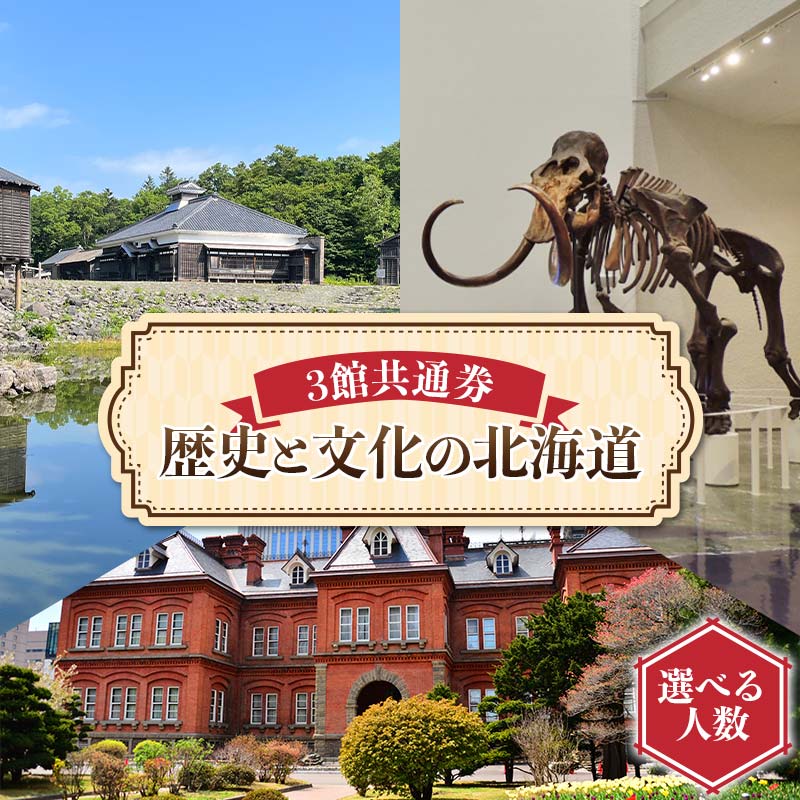 【ふるさと納税】 ＼選べる人数／ 歴史と文化の北海道3館共通券 一般 1名～2名 人気 おすすめ 利用券 チケット F6S-519var
