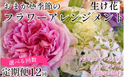 季節の花束 フラワーアレンジメント 定期便 12回 オリジナル手作りカード付 生花 こだわり ギフト プレゼント フラワーガーデンミモザ 花 ※北海道・東北・沖縄を含む離島への配送不可