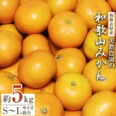 
                  和歌山県産　美濃農園の和歌山みかん　約5kg【1274028】
                