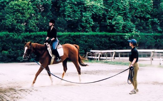 四街道グリーンヒル乗馬クラブ 店頭利用券 16500円分 / 乗馬体験 ビジターレッスン １回使い切り