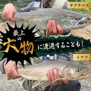 【最上町×舟形町共通返礼品】最上小国川　遊漁券（年券）【令和8年4月1日～令和9年3月31日】鮎釣り 全魚種