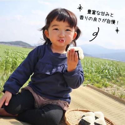 ふるさと納税 糸島市 【 栽培期間中農薬不使用 】米旋風 ヒノヒカリ 5kg 《糸島》[ABF003] |  | 01