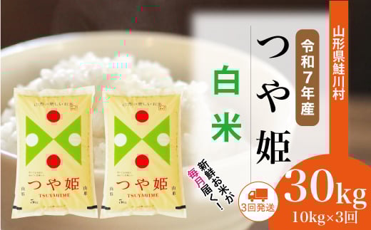 ＜令和7年産米＞ 特別栽培米 つや姫 【白米】 定期便 30kg （10kg×1ヶ月間隔で3回お届け）＜配送時期選べます＞　山形県鮭川村