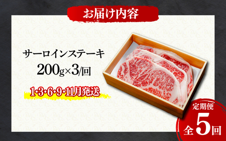 ＜定期便5回＞とちぎ和牛の厚切りサーロインステーキ 600ｇ×5回 計約3kg【栃木県共通返礼品】| 和牛 定期便 栃木県 茂木町