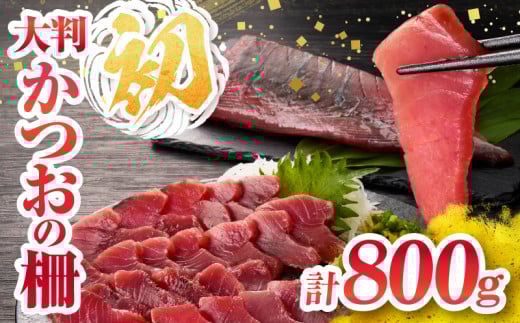 ＼近海かつお一本釣り漁獲量日本一!!／ 大判 かつお 柵 計800g 食品 国産 真空パック おすすめ 鰹 カツオ 刺身 刺し身 サク おかず おつまみ ギフト 魚介類 新鮮 海産物 水産 海の幸 数量限定 人気 プレゼント 贈り物 贈答 お取り寄せ 宮崎県 日南市 送料無料_BB149-24