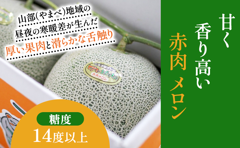 北海道 富良野産 ヒグマのおくりもの(メロン)[1玉 2kg以上/玉] メロン フルーツ 果物 新鮮 甘い 贈り物 ギフト 道産 ジューシー おやつ ふらの ブランド 夏