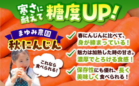 【先行予約】【2025年12月順次発送開始】秋にんじん10㎏ / 秋人参 人参 菊陽人参 人参ジュース 人参じゅーす 人参農家　【株式会社 まゆみ農園】[BHCW006]