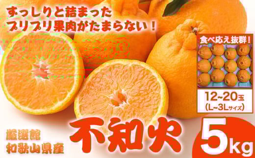 和歌山県産 不知火 選べる 約5kg(12玉～20玉おまかせ)  厳選館《2月中旬-4月上旬頃出荷》和歌山県 日高川町 デコポン でこぽん 柑橘 不知火 しらぬい 大玉 送料無料