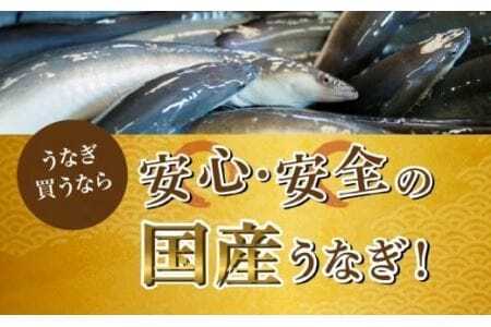 国産 ぶっかけきざみうなぎ 10枚