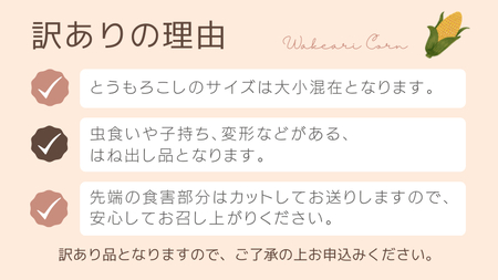とうもろこし おおもの 6kg 訳あり 農家直送 朝採り【 先行予約2026年7月中旬発送】