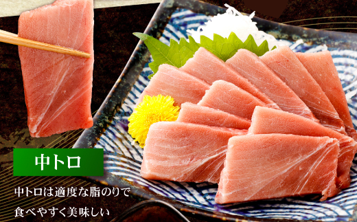 【 定期便 全３回 隔月 お届け 】まぐろの王様！天然本まぐろ味わいセット ２カ月に１回　合計３回  サク 柵 スライス 切落し セット 天然 天然まぐろ 天然マグロ まぐろ 鮪 刺身 お刺身 食べ比